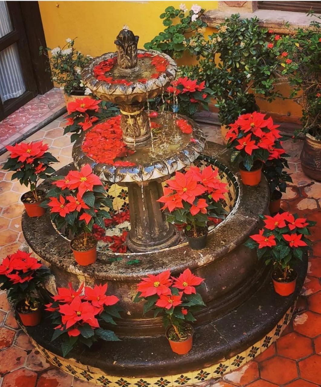 Casa Rosario Centro Hotel San Miguel de Allende Exterior foto